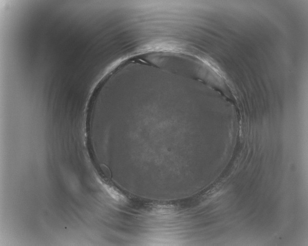 X0000068740438200605121548