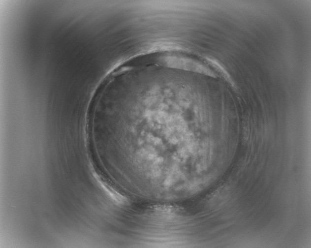 X0000068740439200605121548