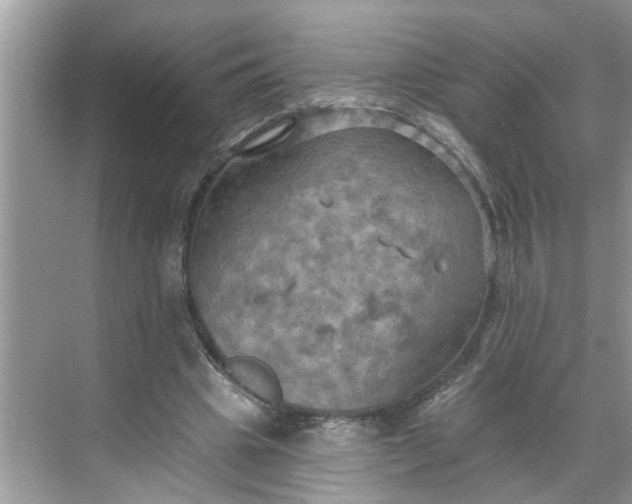 X0000068740441200605121548