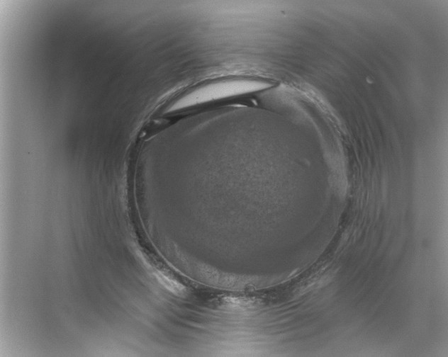 X0000068740442200605121548