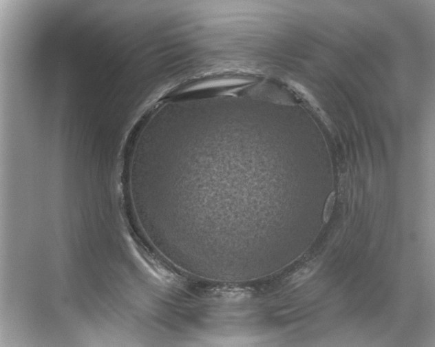 X0000068740443200605121548