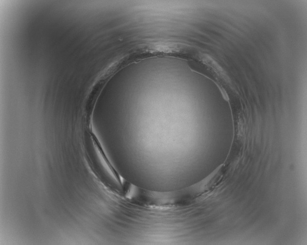 X0000068740444200605121548