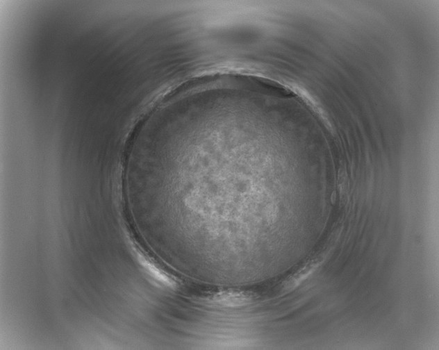 X0000068740445200605121548