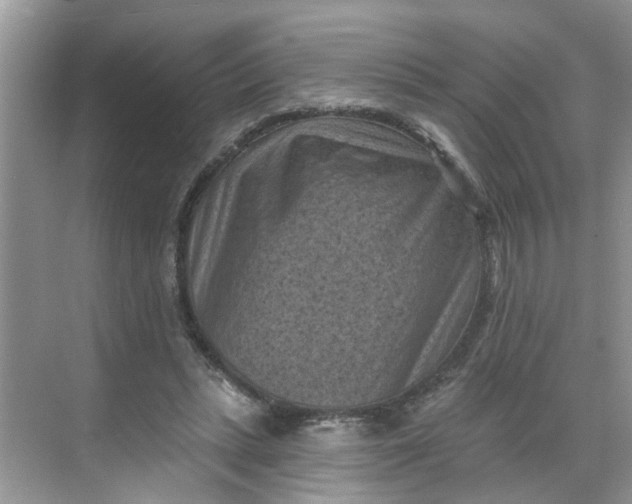 X0000068740447200605121548