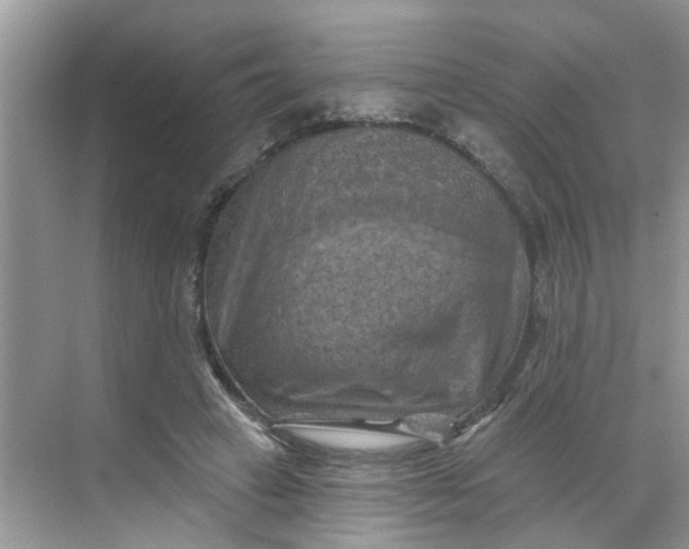 X0000068740449200605121548