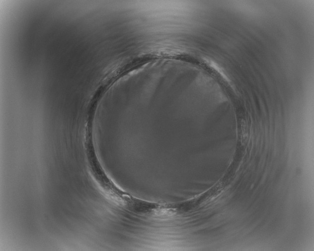 X0000068740451200605121548