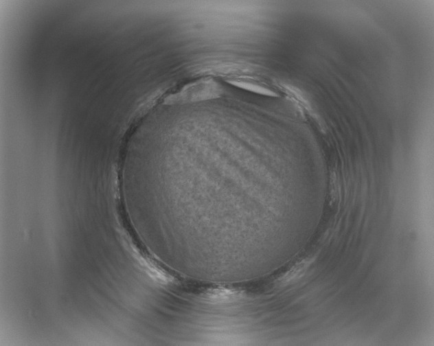 X0000068740453200605121548