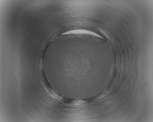 X0000068740459200605121548