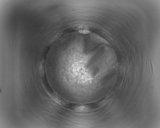 X0000068740460200605121548