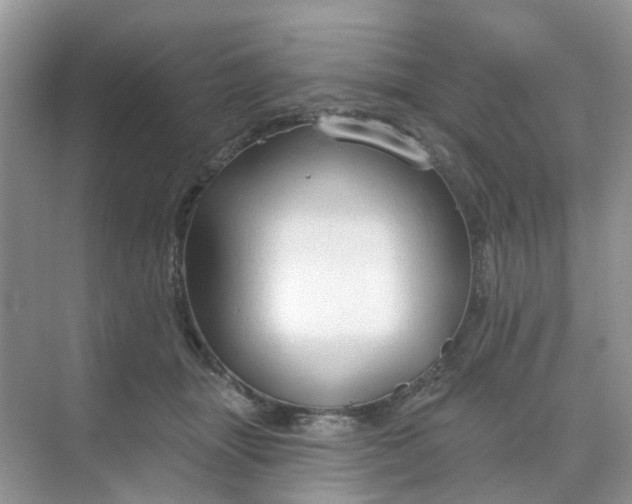 X0000068740463200605121548