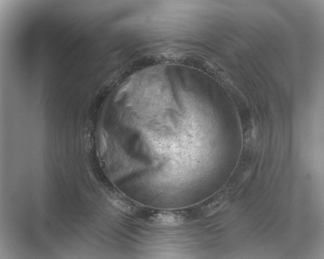 X0000068740464200605121548