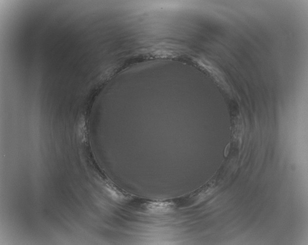 X0000068740465200605121548