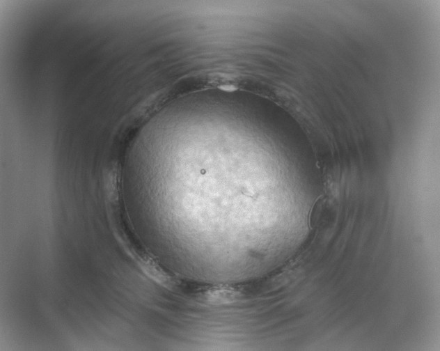 X0000068740468200605121548