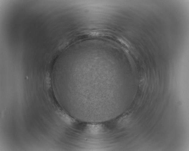 X0000068740469200605121548