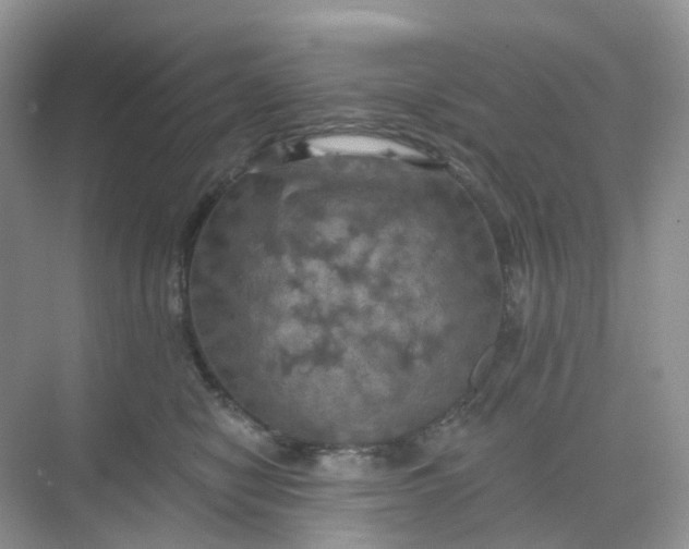 X0000068740470200605121548