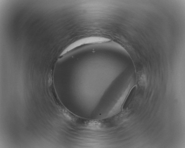 X0000068740471200605121548