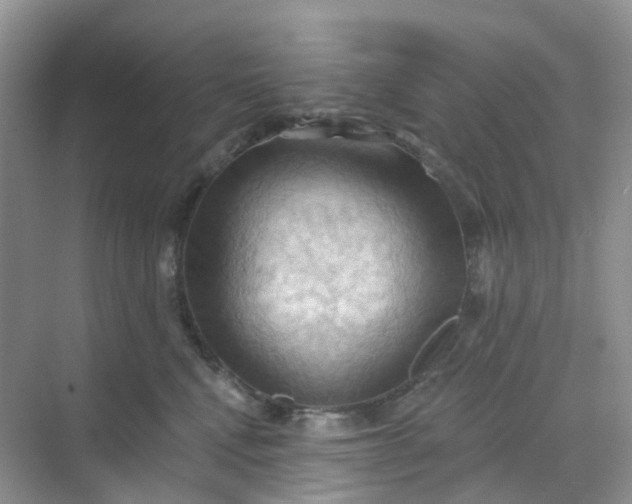 X0000068740472200605121548