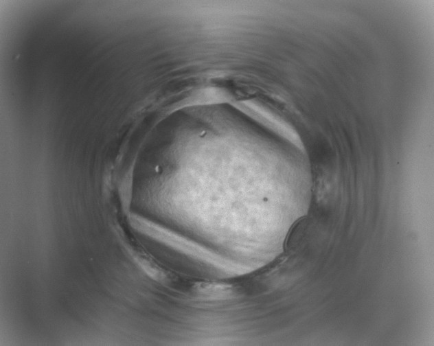 X0000068740476200605121548