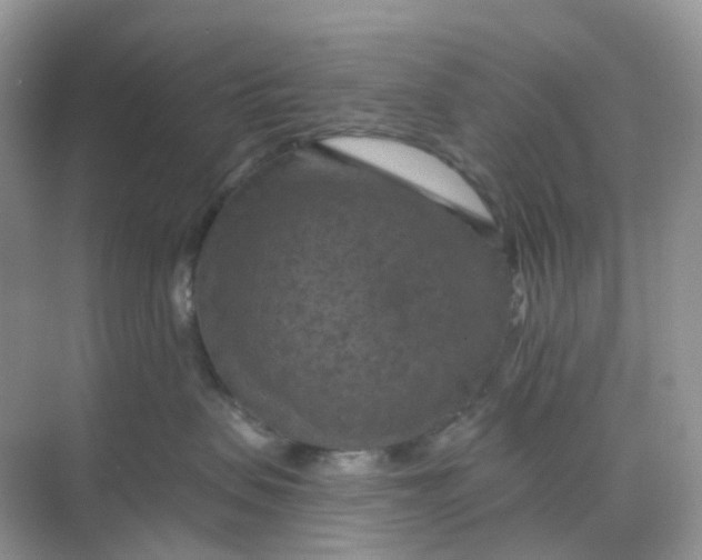 X0000068740479200605121548