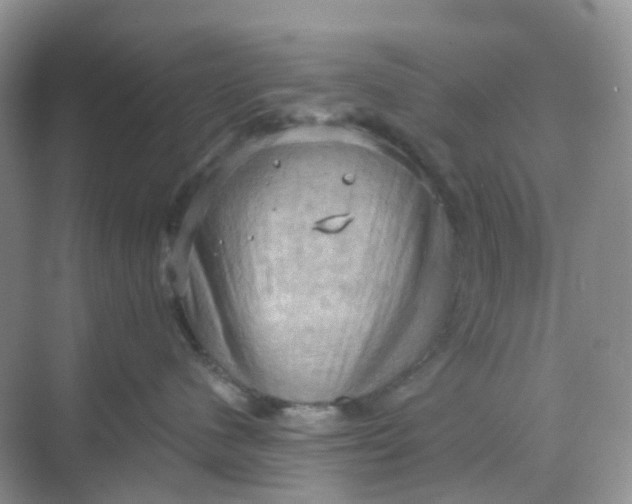 X0000068740480200605121549