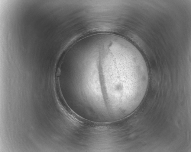 X0000068740482200605121548