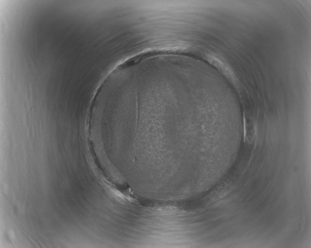 X0000068740483200605121548