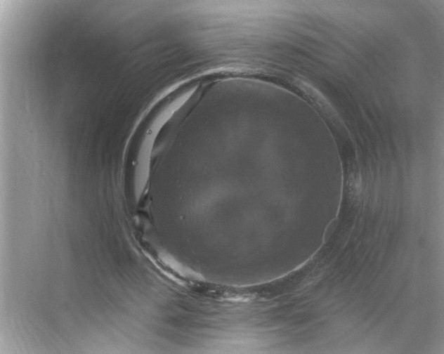 X0000068740484200605121548