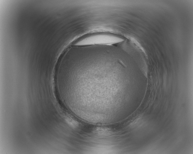 X0000068740487200605121548