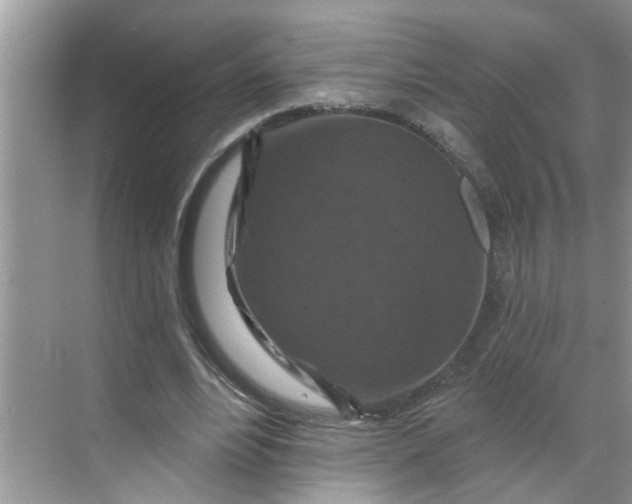 X0000068740488200605121548