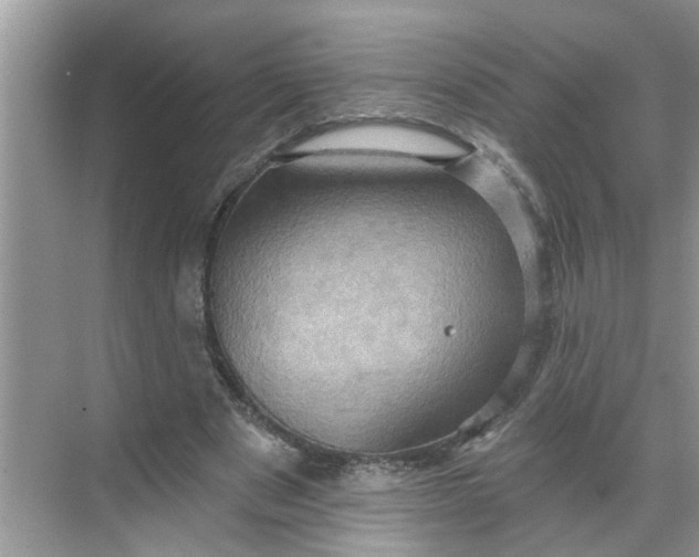 X0000068740489200605121548