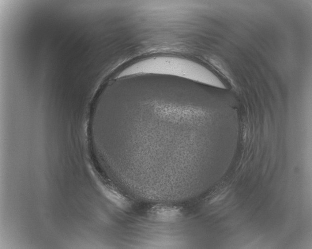 X0000068740491200605121548