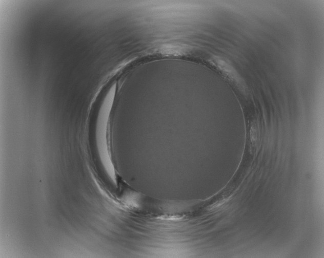 X0000068740492200605121548