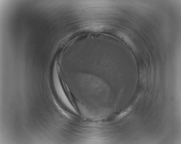 X0000068740493200605121547