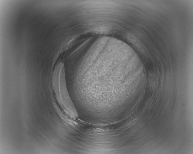 X0000068740494200605121547