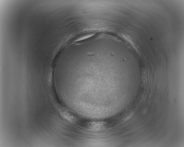 X0000068740495200605121547