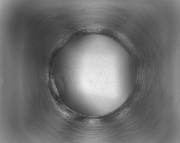 X0000068740501200605121547