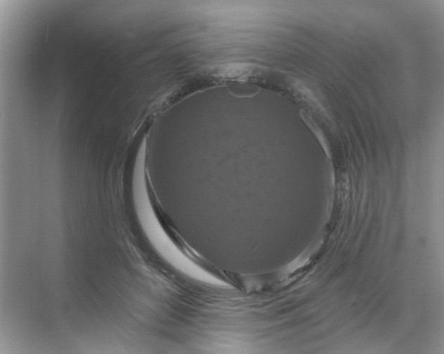 X0000068740504200605121547