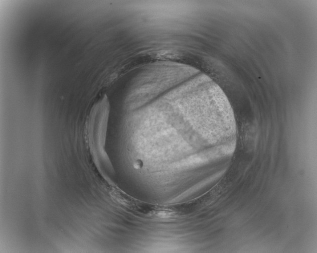 X0000068740506200605121547