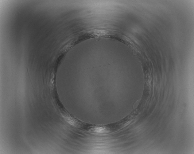 X0000068740507200605121547