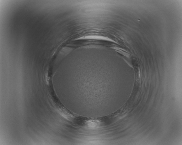 X0000068740508200605121547