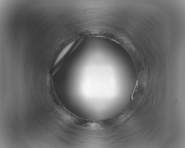 X0000068740509200605121547