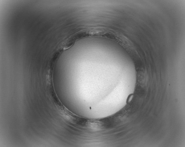 X0000068740510200605121547