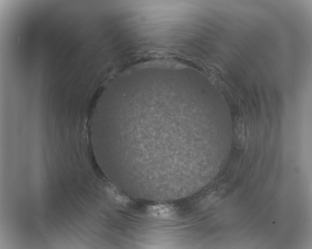 X0000068740511200605121547