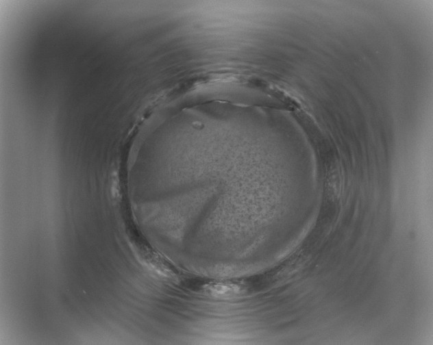 X0000068740512200605121547