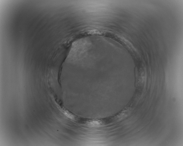 X0000068740513200605121547