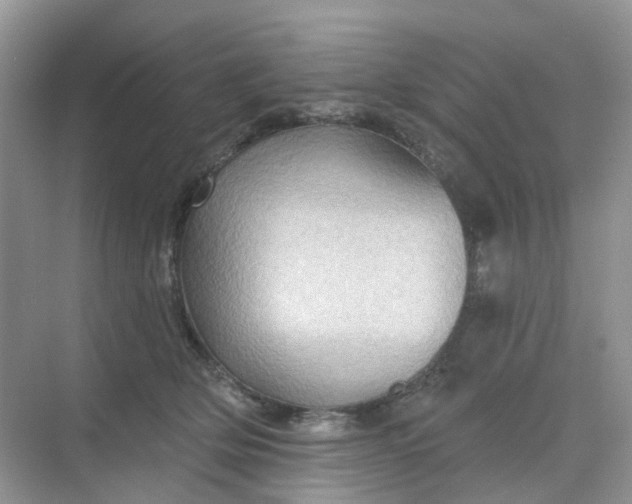 X0000068740514200605121547