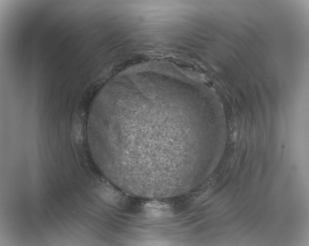 X0000068740515200605121547