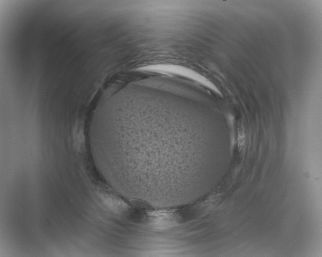 X0000068740516200605121547