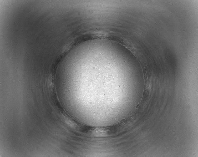 X0000068740518200605121547