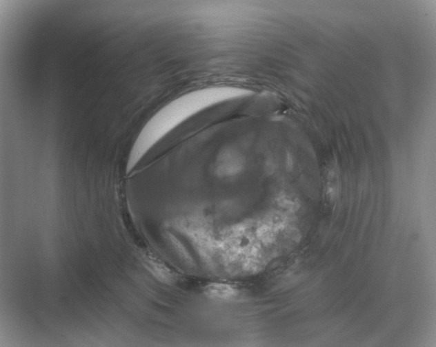 X0000068740519200605121547